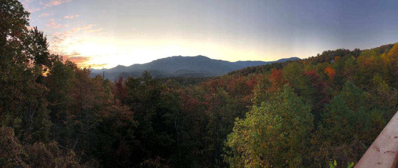 Heavenly View - Bear Themed Cabin, Hottub, Dog-Friendly, Near Gatlinburg Ngoại thất bức ảnh