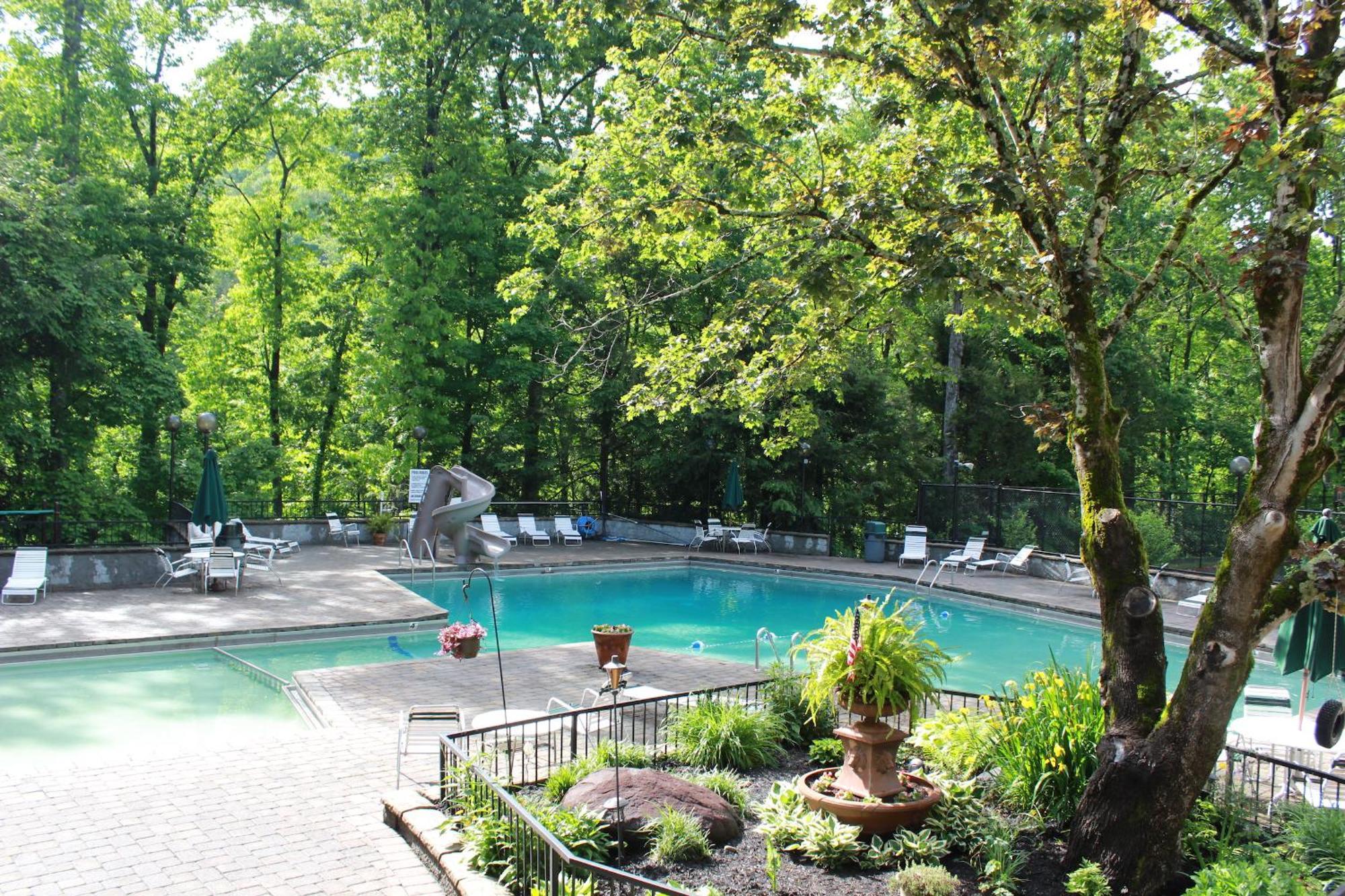 Heavenly View - Bear Themed Cabin, Hottub, Dog-Friendly, Near Gatlinburg Ngoại thất bức ảnh