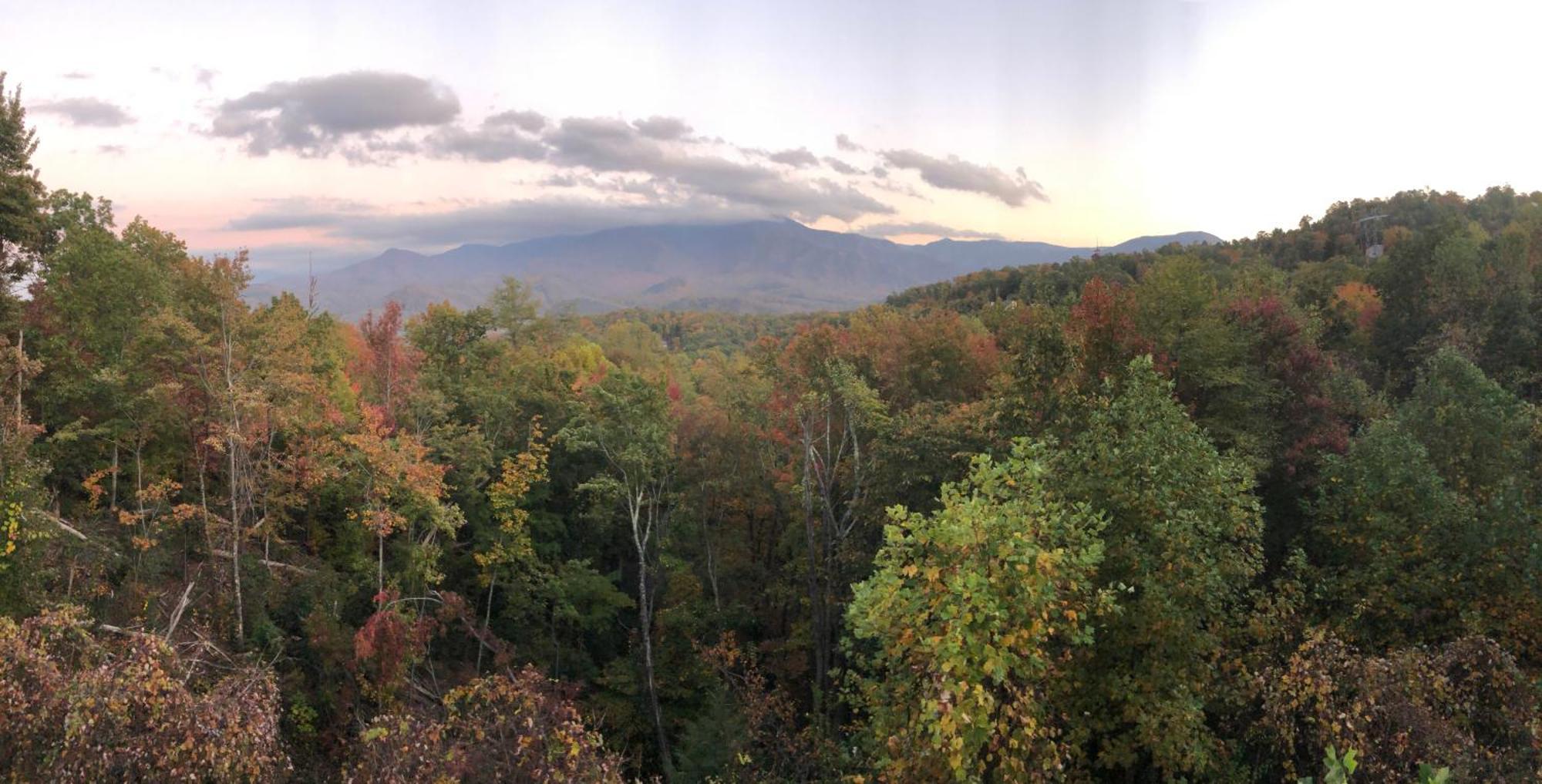 Heavenly View - Bear Themed Cabin, Hottub, Dog-Friendly, Near Gatlinburg Ngoại thất bức ảnh