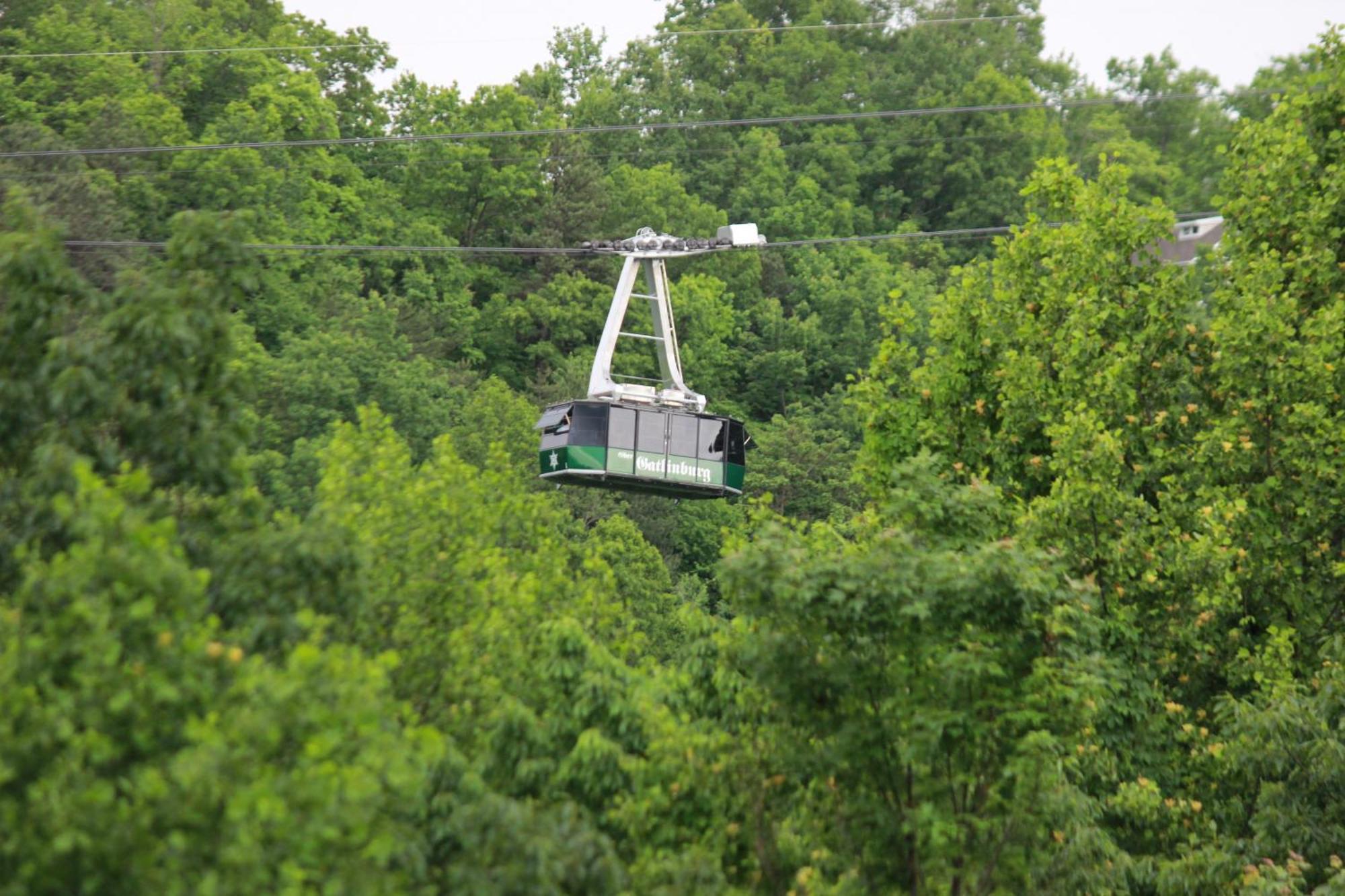 Heavenly View - Bear Themed Cabin, Hottub, Dog-Friendly, Near Gatlinburg Ngoại thất bức ảnh